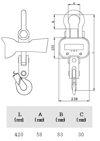 Крановые весы CAS Caston-I 3THA артикул 0021-1310