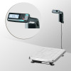 Весы с печатью этикеток TB-S-15.2-RL1 