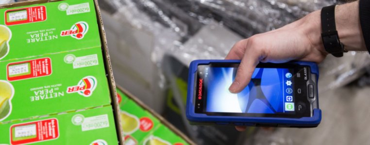 ТСД Datalogic в городе Армавир